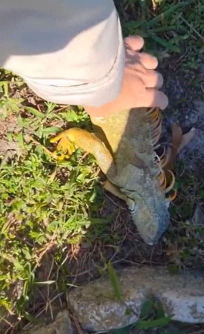 美国东北部遭遇“炸弹气旋”!网友:这里是“北美宁古塔”? 美国东北部遭遇“炸弹气旋”!网友:这里是“北美宁古塔”?