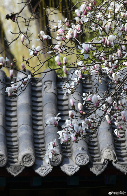 收藏春日!打卡春天里的大美中国 收藏春日!打卡春天里的大美中国