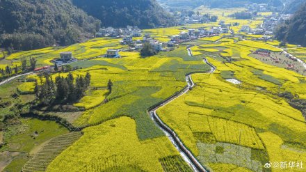 收藏春日!打卡春天里的大美中国 收藏春日!打卡春天里的大美中国