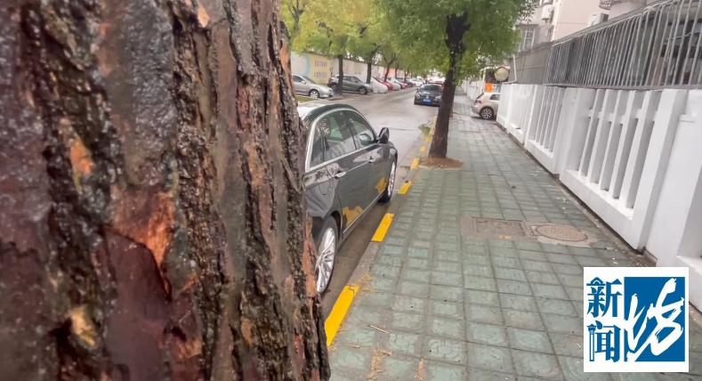 怀疑丈夫出轨闺蜜，妻子花9000元雇人跟踪被抓包！法院判了