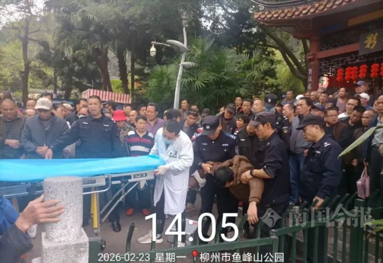 大年初七,柳州鱼峰公园突发这一幕,被好多人看到了!园方紧急提醒 大年初七,柳州鱼峰公园突发这一幕,被好多人看到了!园方紧急提醒