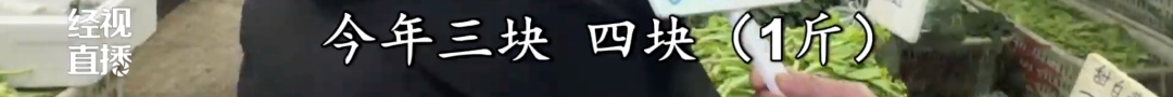 “本地菜大量上市，现在就便宜卖”！武汉蔬菜节后供应充足，市场可见多种“1元菜”