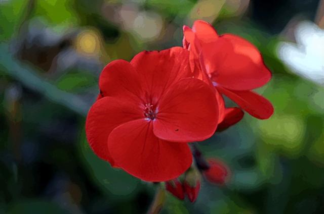 破案了！电影院普遍都是红色座椅，竟是因为它