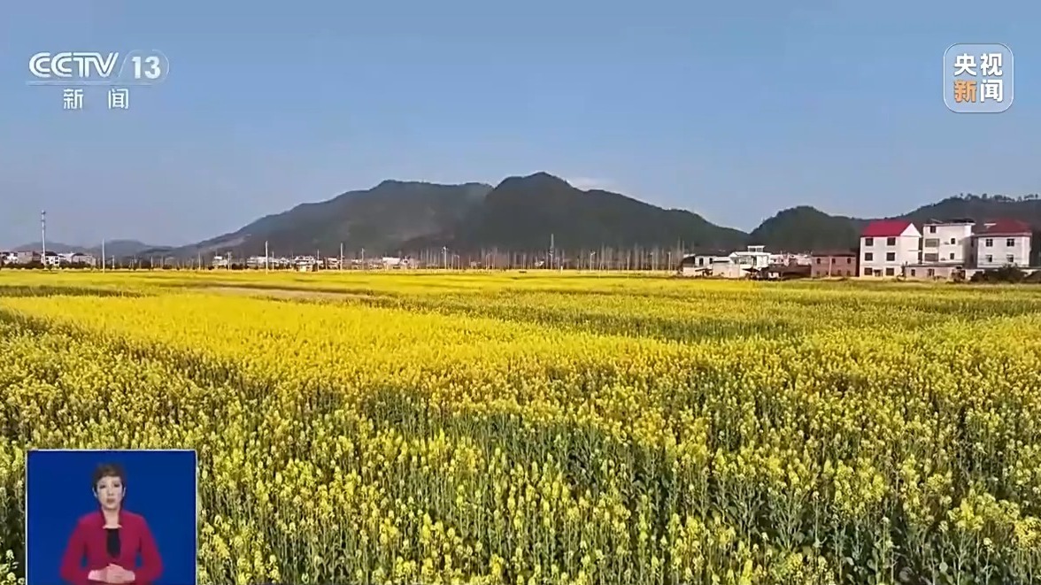 花开了 各地春日限定美景上线