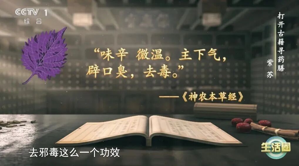 春天易生病?别担心,这3种地里长的“药”就在你家餐桌上,帮你增强免疫力! 春天易生病?别担心,这3种地里长的“药”就在你家餐桌上,帮你增强免疫力!