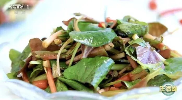 春天易生病?别担心,这3种地里长的“药”就在你家餐桌上,帮你增强免疫力! 春天易生病?别担心,这3种地里长的“药”就在你家餐桌上,帮你增强免疫力!