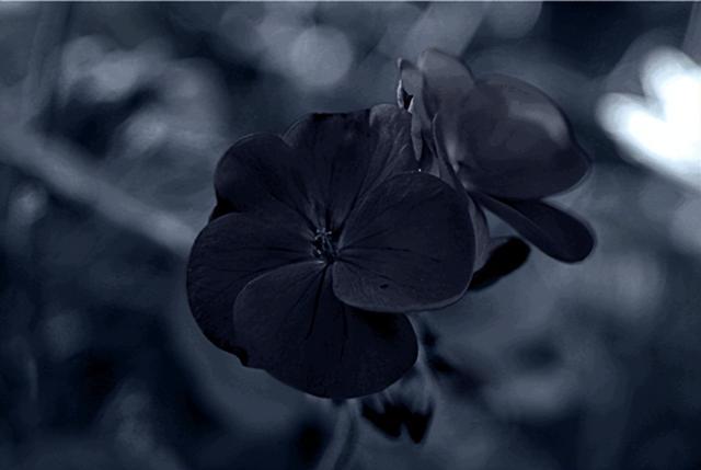 破案了！电影院普遍都是红色座椅，竟是因为它