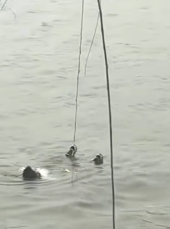 钓鱼佬又立大功!男子落水命悬一线,钓鱼大哥甩竿精准钩衣救人 钓鱼佬又立大功!男子落水命悬一线,钓鱼大哥甩竿精准钩衣救人