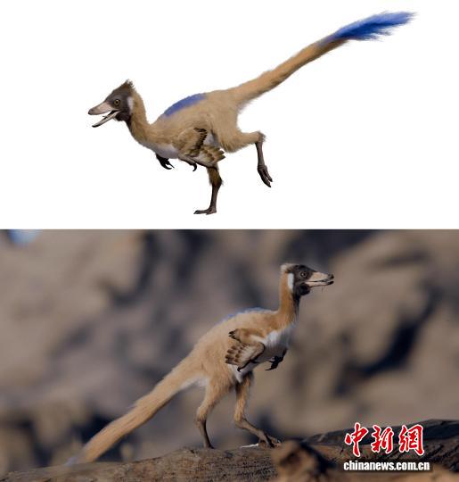 南美发现迄今最小恐龙化石 体重不足1公斤或将改写微型恐龙演化史