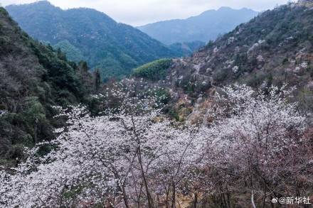 收藏春日!打卡春天里的大美中国 收藏春日!打卡春天里的大美中国