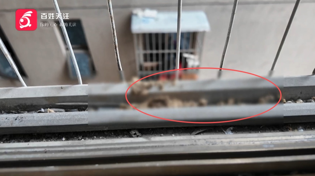 男子家中半年6次被高空抛物：烟头、纸巾、大便、玻璃瓶！