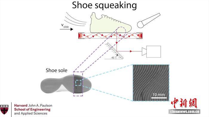 运动鞋在球场上为何发出嘎吱声？研究揭秘源头提出调控方式