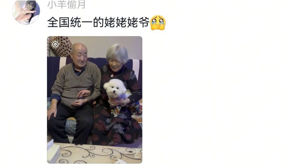 拍合照姥爷想亲密一点遭姥姥“嫌弃打脸”，外孙女回应：姥姥不强势，只是脸皮薄