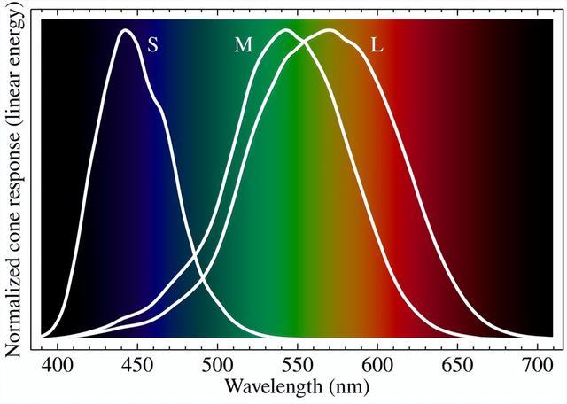 破案了！电影院普遍都是红色座椅，竟是因为它