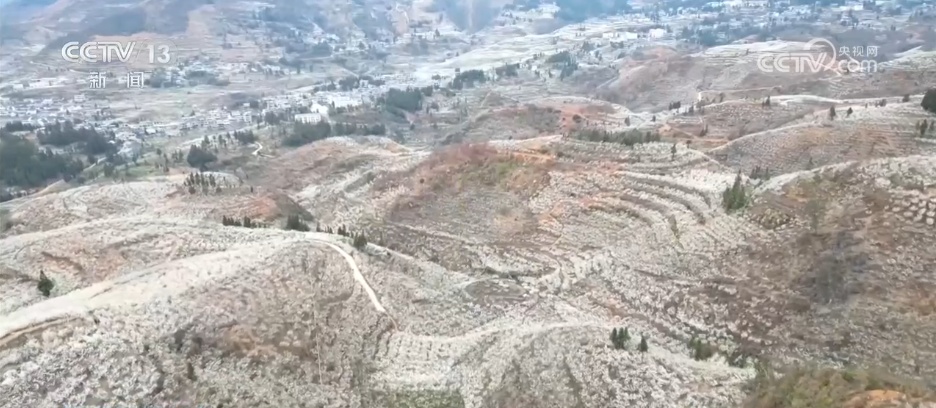 又是一年赏花季 邂逅春日浪漫 “赏花+”为农文旅消费“增香添彩” 又是一年赏花季 邂逅春日浪漫 “赏花+”为农文旅消费“增香添彩”