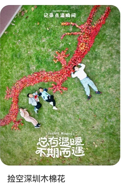 深圳公园的木棉花，开出了一匹“马”！