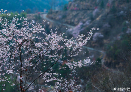 收藏春日!打卡春天里的大美中国 收藏春日!打卡春天里的大美中国