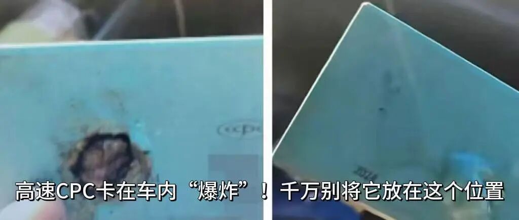 为救邻家小狗女子不慎“中招”，此前自家宠物已屡遭毒手！警惕这个“隐形杀手”