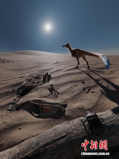 南美发现迄今最小恐龙化石 体重不足1公斤或将改写微型恐龙演化史