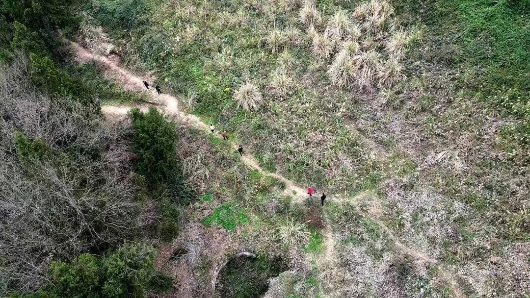 奇迹!四川一老人山中失联8天7夜,被乡邻成功救回 奇迹!四川一老人山中失联8天7夜,被乡邻成功救回