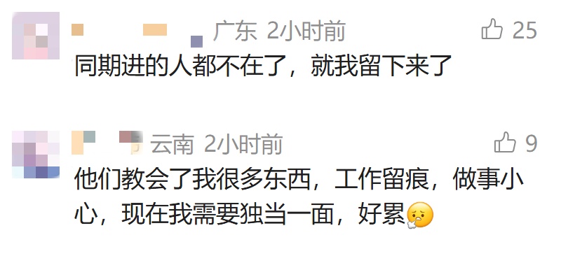 “初代同事”，藏着年轻人的职场温柔