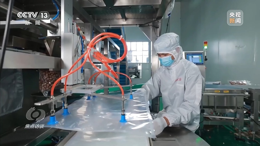 从“卖得出”到“卖得俏” 小坚果变身产业振兴“幸福果”