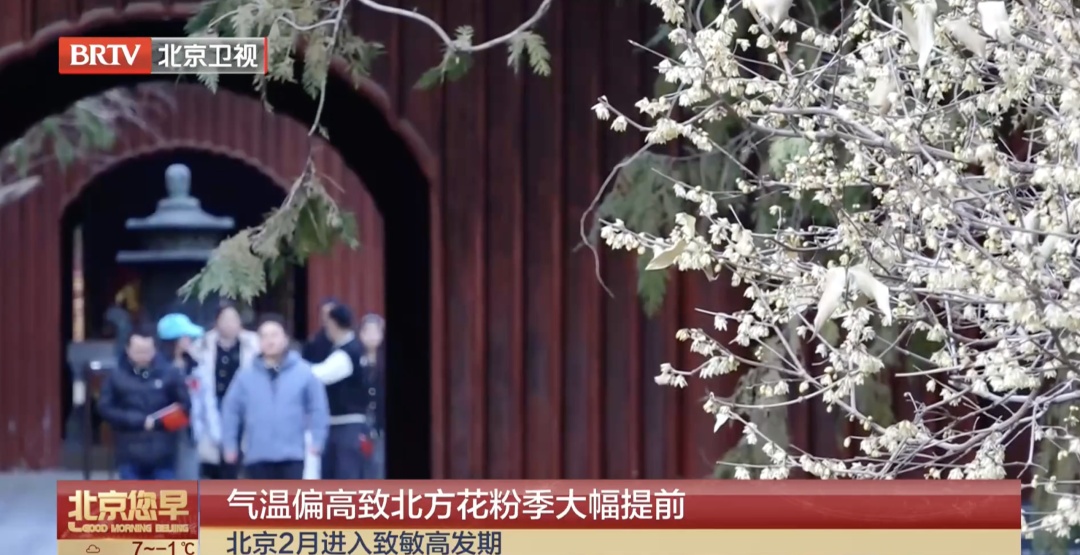 北京花粉季提前!过敏的人,今年要格外小心,收藏这份防护指南—— 北京花粉季提前!过敏的人,今年要格外小心,收藏这份防护指南——