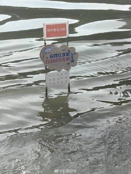 景区网红水枪被指惊扰水鸟 景区回应：已停止运营并撤除