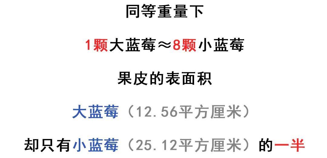 蓝莓越大，营养可能越“缩水”，90%的人都吃错了