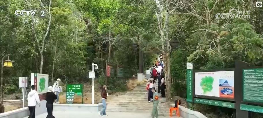 从“开门红”到“持续火”：节后旅游市场热度不减 消费活力全面释放