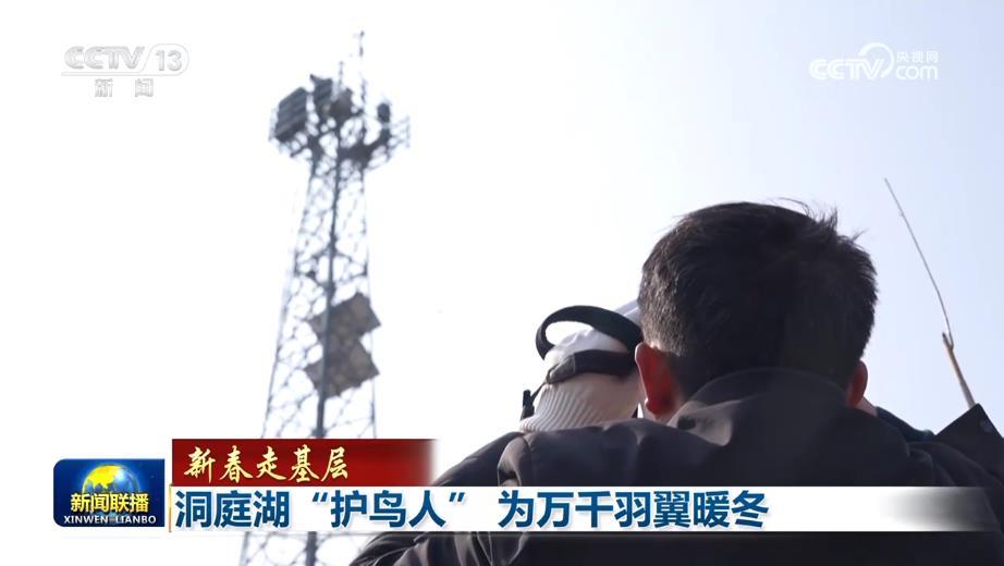 洞庭湖“护鸟人” 为万千羽翼暖冬 洞庭湖“护鸟人” 为万千羽翼暖冬