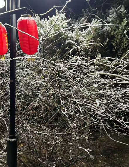转发！北京马年第一场雪