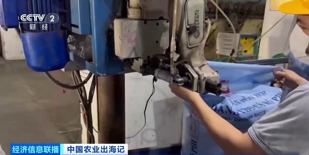 油菜籽扎根巴基斯坦，饲料“游”进越南虾塘！中国农业这样出海→