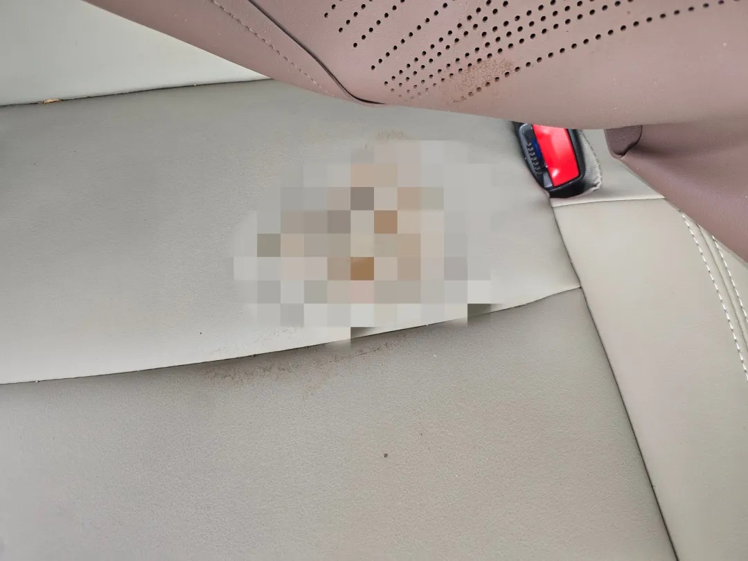 事发开往上海的顺风车！男子在后座排便后“失联” 拒赔，车主无奈报警，平台回应