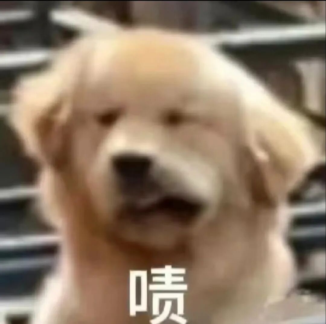 “教练,为什么12306里预约不了科目三考试?”“那是买火车票的……” “教练,为什么12306里预约不了科目三考试?”“那是买火车票的……”