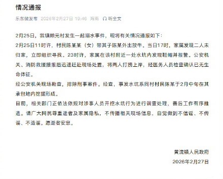 官方通报母子放牛坠坑溺亡