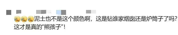 “全网最黑”大熊猫火了！网友：这才是真“熊孩子”