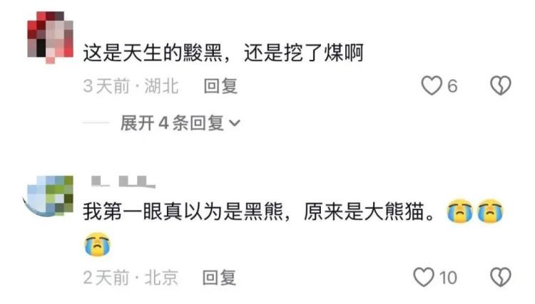 “全网最黑”大熊猫火了！网友：这才是真“熊孩子”