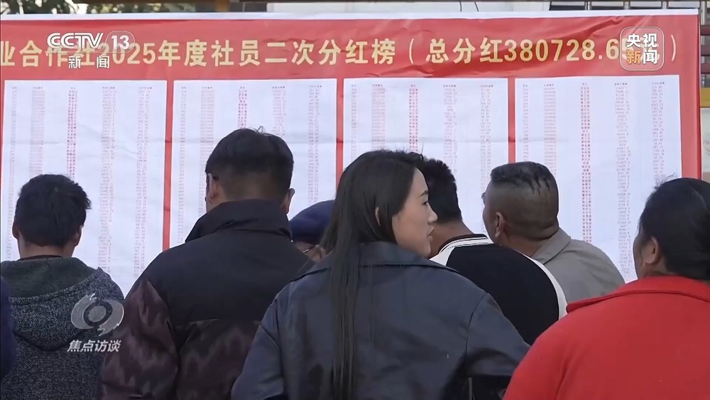 从“卖得出”到“卖得俏” 小坚果变身产业振兴“幸福果”