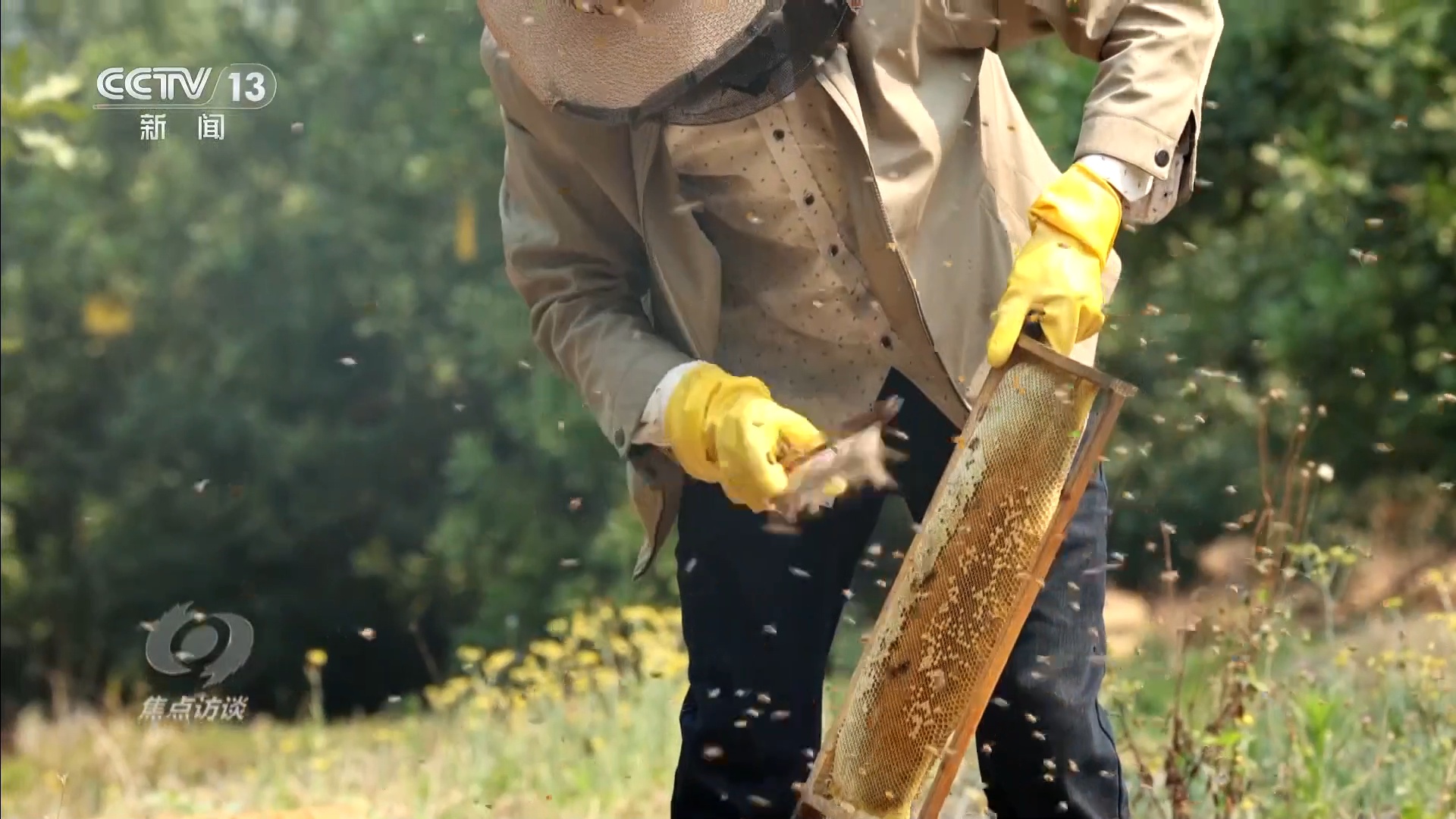 从“靠天吃饭”到“精耕细作” 蹚出一条脱贫致富新路子