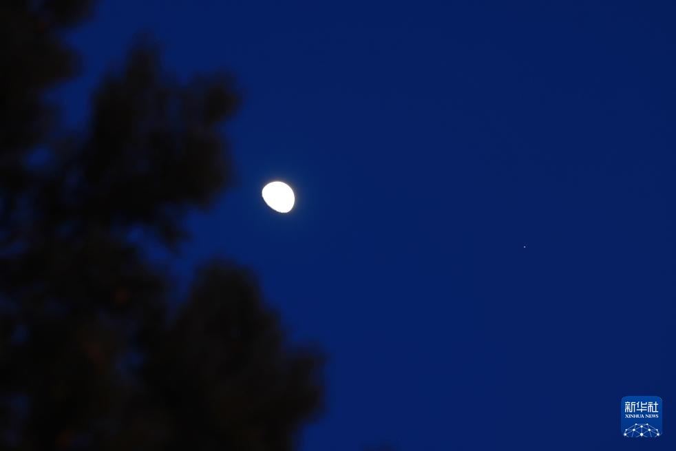 星空相册丨木星伴月来啦,天幕上演“星月对话” 星空相册丨木星伴月来啦,天幕上演“星月对话”