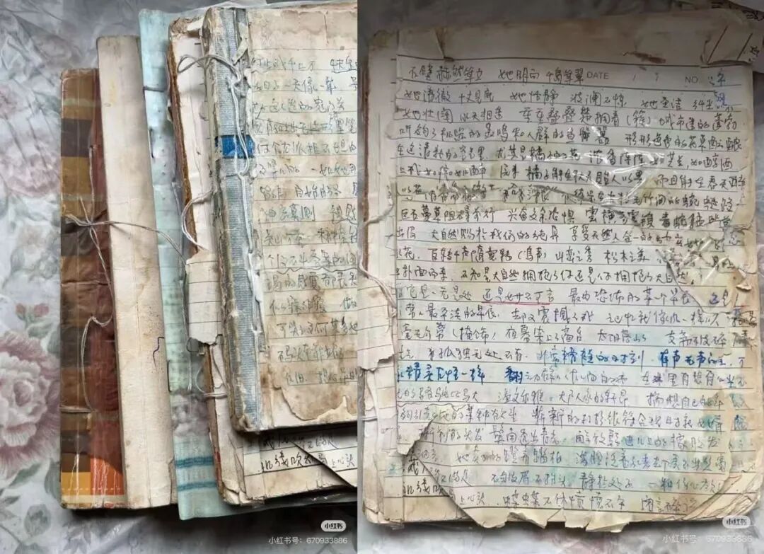 86岁作家杨本芬承认抄袭