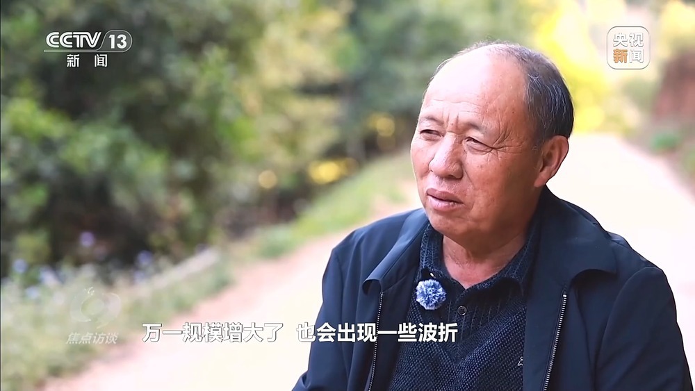 从“卖得出”到“卖得俏” 小坚果变身产业振兴“幸福果”