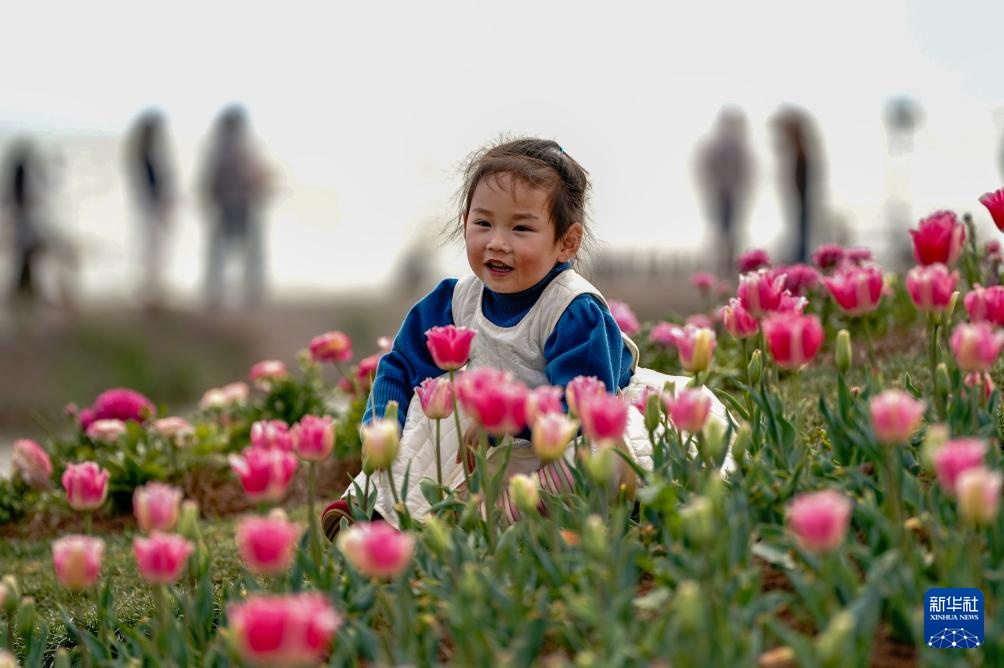 春日滇池引客来
