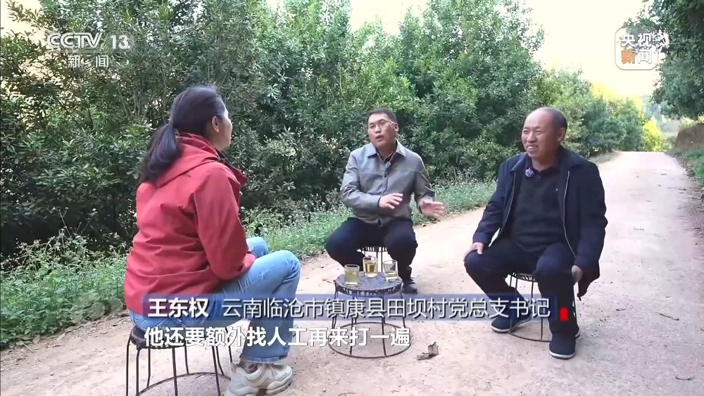 从“卖得出”到“卖得俏” 小坚果变身产业振兴“幸福果”