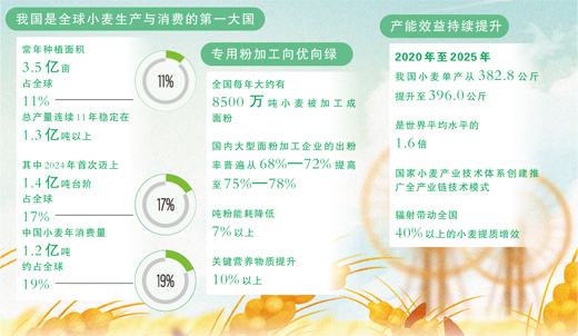 从三餐四季看小麦变身记 从三餐四季看小麦变身记