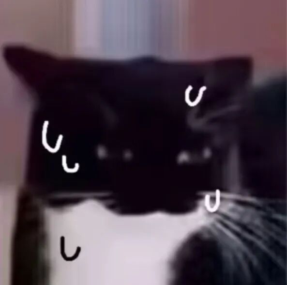 “教练,为什么12306里预约不了科目三考试?”“那是买火车票的……” “教练,为什么12306里预约不了科目三考试?”“那是买火车票的……”