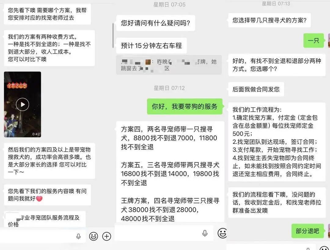 上海女子花8800元雇团队寻猫，结果物业发现就在屋内