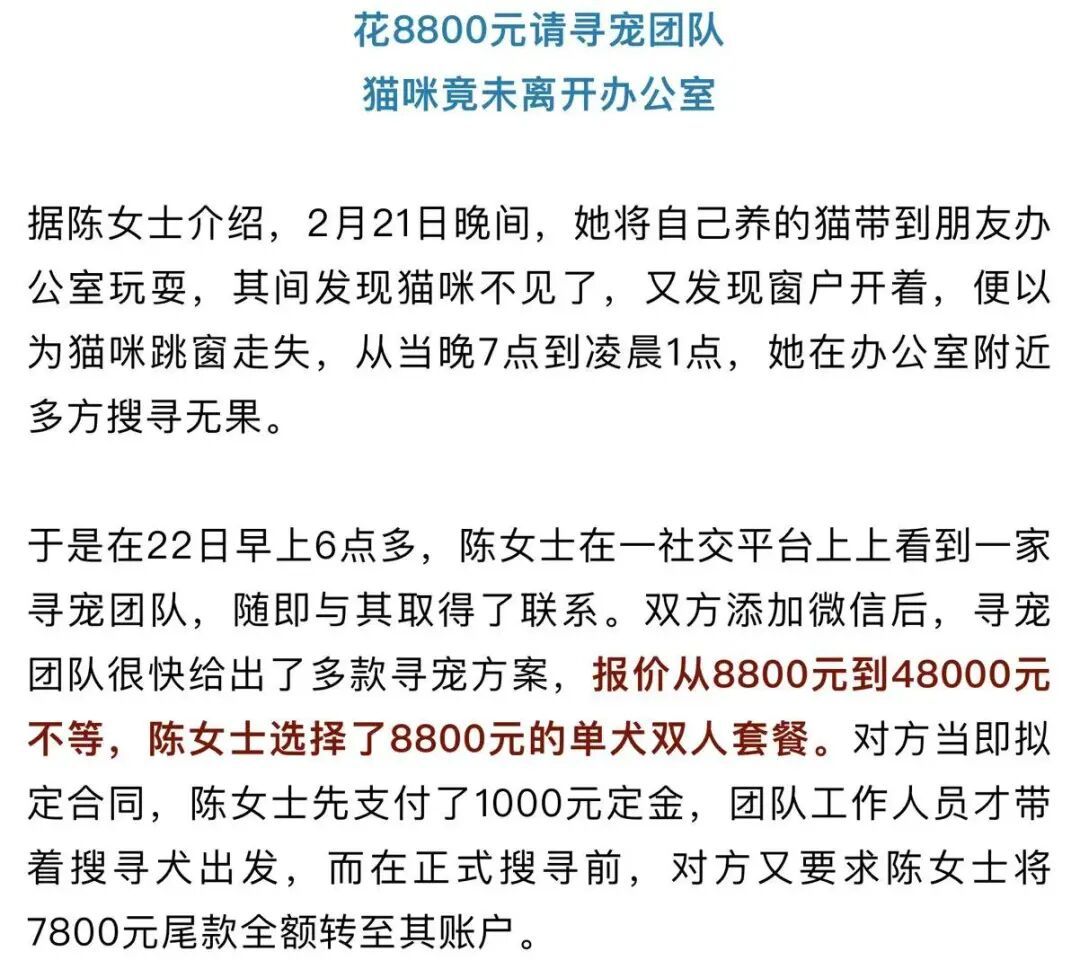 上海女子花8800元雇团队寻猫，结果物业发现就在屋内