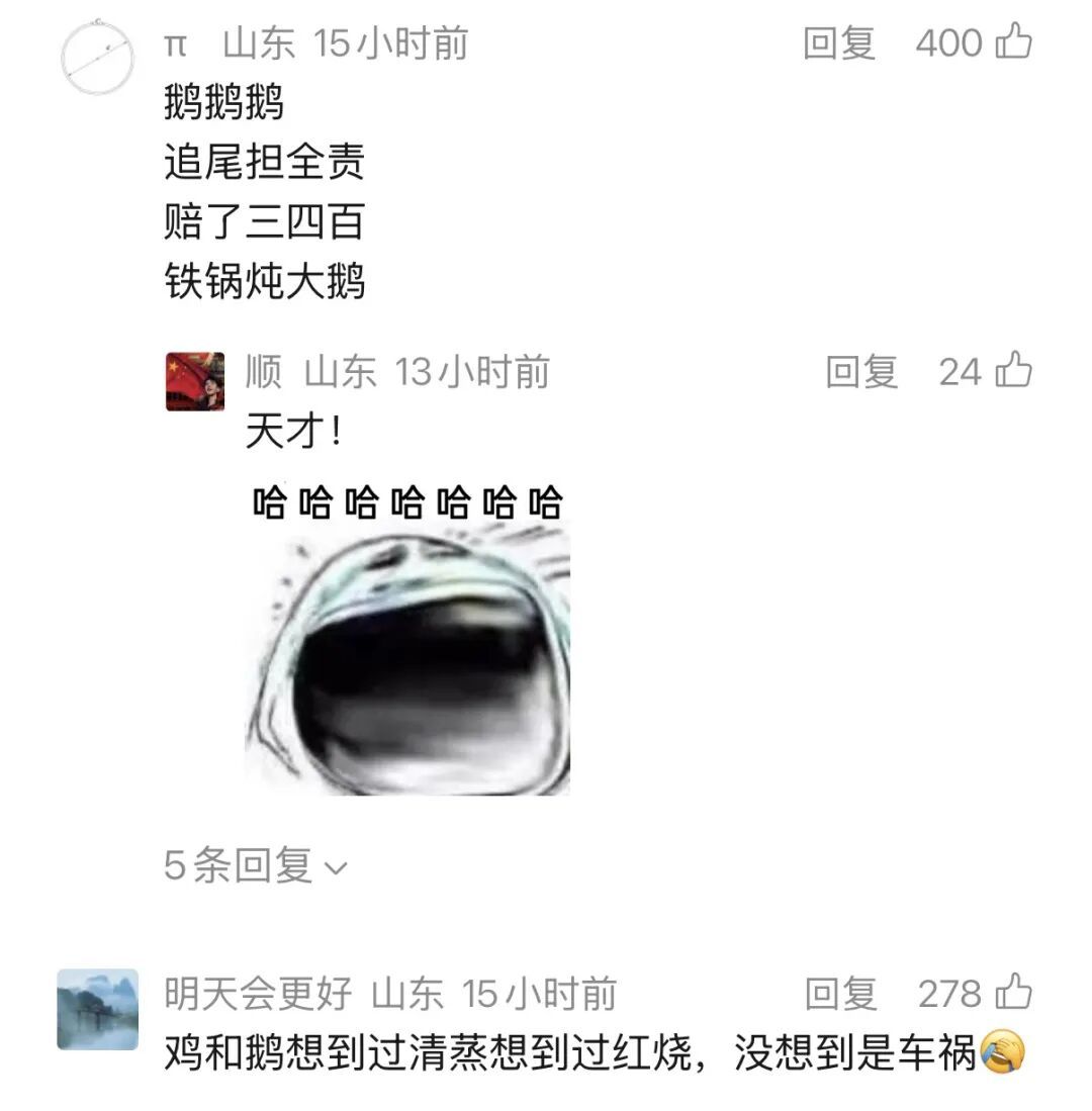 后备箱挂鸡鹅，高速被追尾！全死了…鸡鹅：想过清蒸红烧，没想到是车祸